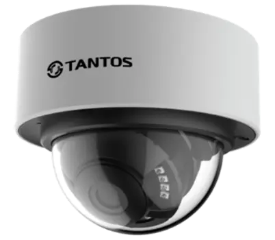 Видеокамеры Tantos