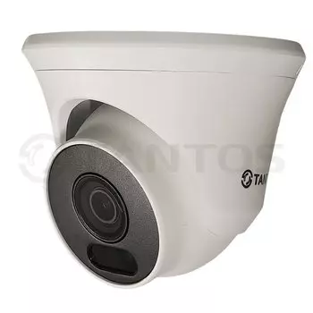 Видеокамеры Tantos