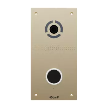 Видеопанели индивидуальные BAS-IP