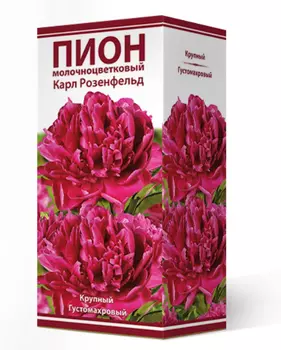 Посадочный материал Поиск Агрофирма Пион молочноцветковый КАРЛ РОЗЕНФЕЛЬД, 1 шт.