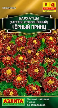 Семена Аэлита Бархатцы отклоненные Черный принц, 0,3 г