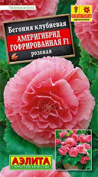 Семена Аэлита Бегония гофрированная Америгибрид Розовая F1, 5 шт. PanAmerican Seed