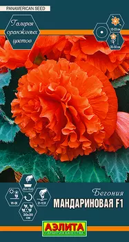 Семена Аэлита Бегония Мандариновая F1, 5 шт. PanAmerican