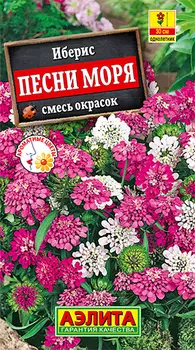 Семена Аэлита Иберис Песни моря, 0,1 г