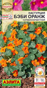 Семена Аэлита Настурция суперкомпактная Бэби оранж, 4 шт. Победитель. Выбор экспертов