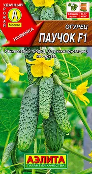 Семена Аэлита Огурец Паучок F1, 10 шт.