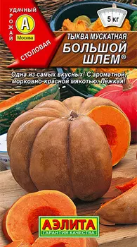 Семена Аэлита Тыква мускатная Большой шлем, 1 г