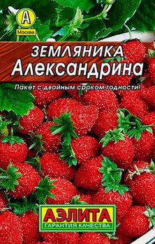 Семена Аэлита Земляника альпийская Александрина, 0,05 г Лидер