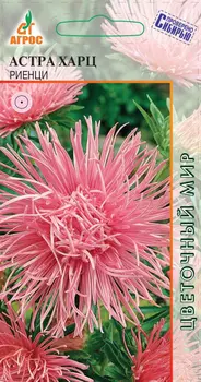 Семена Агрос Астра Харц Риенци, 0,3 г Проверено Сибирью