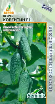Семена Агрос Огурец Корентин F1, 8 шт. Seminis Профессиональная серия