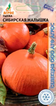 Семена Агрос Тыква Сибирская малышка, 3 шт. Селекция Агрос