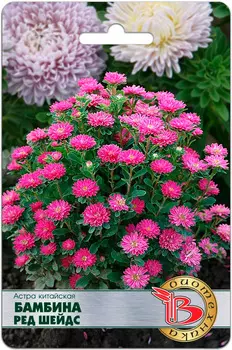 Семена Биотехника Астра китайская Бамбина Ред Шейдс, 20 шт.