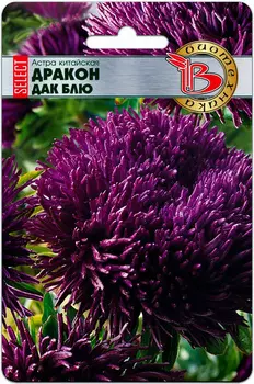Семена Биотехника Астра китайская Дракон SELECT Дак Блю, 30 шт.