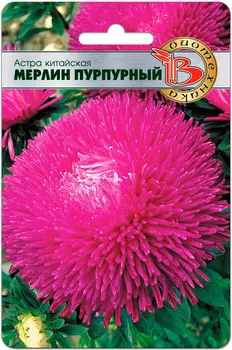 Семена Биотехника Астра китайская Мерлин Пурпурный, 50 шт.