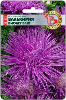 Семена Биотехника Астра китайская Валькирия SELECT Виолет Блю, 20 шт.