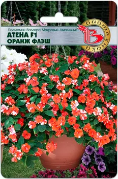 Семена Биотехника Бальзамин ампельный махровый Валлера Атена Оранж Флеш F1, 8 шт.