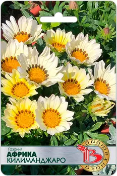 Семена Биотехника Газания Африка Килиманджаро, 7 шт.