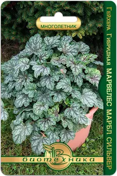 Семена Биотехника Гейхера гибридная Марвелес Марбл Сильвер, 8 шт.