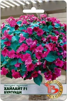 Семена Биотехника Импатиенс (бальзамин) ампельный Хайлайт Бургунди F1, 10 шт.