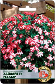 Семена Биотехника Импатиенс (бальзамин) ампельный Хайлайт Рэд Стар F1, 10 шт.