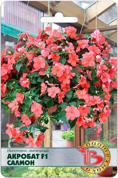 Семена Биотехника Импатиенс (бальзамин) ампельный Акробат Салмон F1, 8 шт.