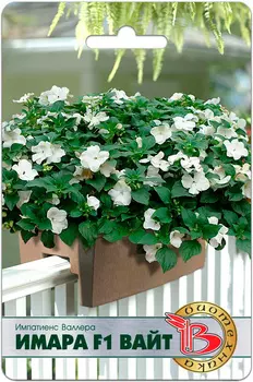 Семена Биотехника Импатиенс (бальзамин) Валлера Имара Вайт F1, 8 шт.