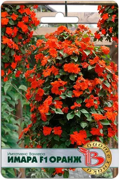 Семена Биотехника Импатиенс (бальзамин) Валлера Имара Оранж F1, 8 шт.