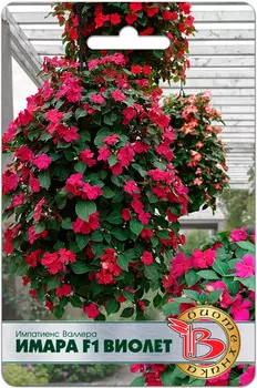 Семена Биотехника Импатиенс (бальзамин) Валлера Имара Виолет F1, 8 шт.