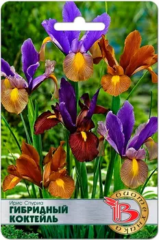 Семена Биотехника Ирис Спуриа Гибридный коктейль, Смесь, 5 шт.