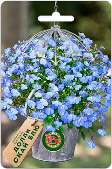 Семена Биотехника Лобелия кустовая Долли Скай Блю, 10 шт.