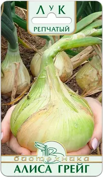 Семена Биотехника Лук репчатый Алиса Грейг, 0,3 г