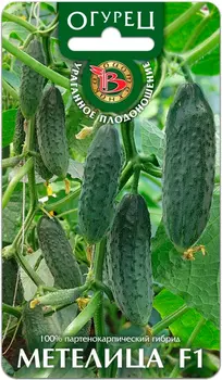 Семена Биотехника Огурец Метелица F1, 8 шт.