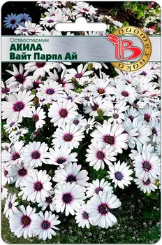 Семена Биотехника Остеоспермум Акила Вайт Парпл Ай, 5 шт.