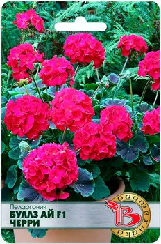 Семена Биотехника Пеларгония Буллз Ай Черри F1, 5 шт.