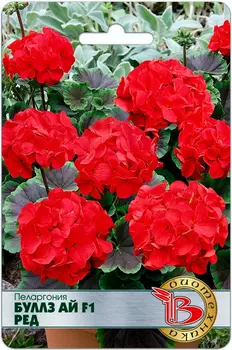 Семена Биотехника Пеларгония Буллз Ай Ред F1, 5 шт.