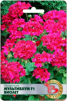 Семена Биотехника Пеларгония Мультиблум Виолет F1, 5 шт.