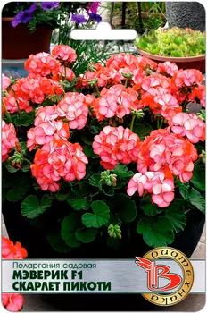 Семена Биотехника Пеларгония садовая Мэверик Скарлет Пикоти F1, 5 шт.
