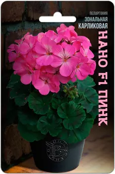 Семена Биотехника Пеларгония зональная карликовая Нано Пинк F1, 5 шт.