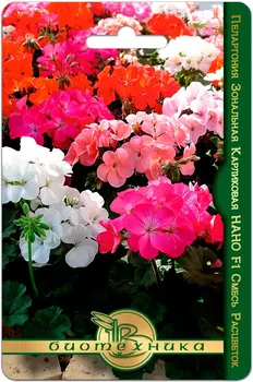 Семена Биотехника Пеларгония зональная карликовая Нано F1, Смесь, 5 шт.