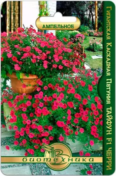 Семена Биотехника Петуния гигантская каскадная Тайфун Черри F1, 5 шт.