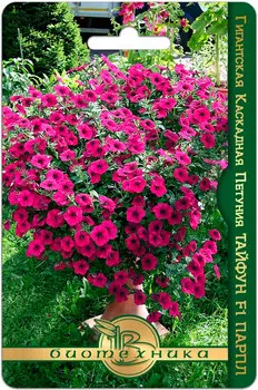 Семена Биотехника Петуния гигантская каскадная Тайфун Парпл F1, 5 шт.