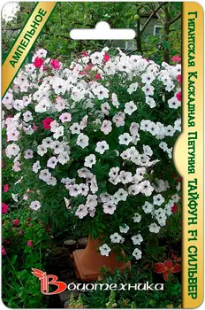 Семена Биотехника Петуния гигантская каскадная Тайфун Сильвер F1, 5 шт.