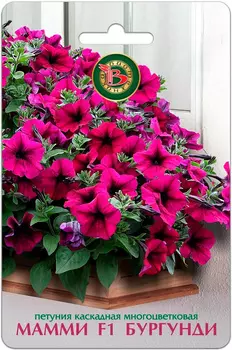 Семена Биотехника Петуния каскадная многоцветковая Мамми Бургунди F1, 5 шт.
