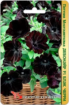 Семена Биотехника Петуния многоцветковая Дебонэйр Блэк Черри F1, 6 шт.