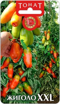 Семена Биотехника Томат Жиголо XXL, 10 шт.