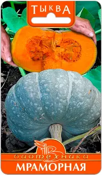 Семена Биотехника Тыква Мраморная, 4 шт.