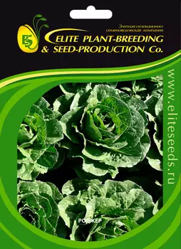 Семена Elite Seeds Салат Роджер Элит мини, 1900 шт. Профессиональная упаковка