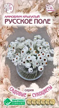 Семена ЕВРОСЕМЕНА Аммобиум крылатый Русское поле, 0,2 г Садовые Сухоцветы