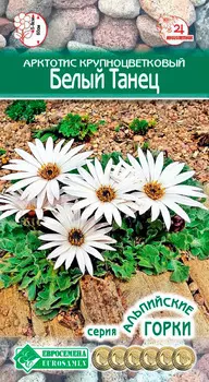 Семена ЕВРОСЕМЕНА Арктотис крупноцветковый Белый танец, 10 шт. Альпийская Горка