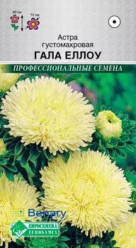 Семена ЕВРОСЕМЕНА Астра густомахровая Гала Еллоу, 10 шт. Benary Профессиональные семена